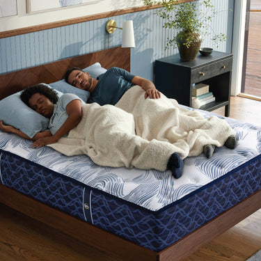 Serta Perfect Spine Mattress