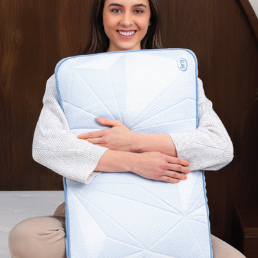Antarctic Pillow