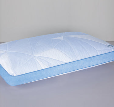 Antarctic Pillow