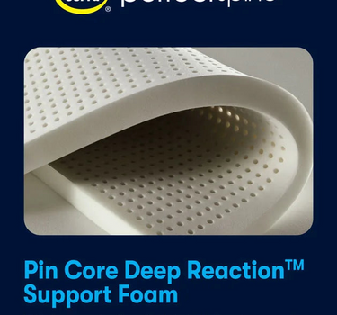 Serta Perfect Spine Mattress