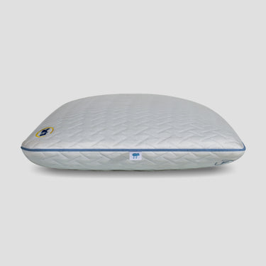 Classic Slim Memory Pillow