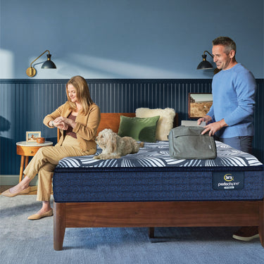 Perfect Spine Hybrid Mattress